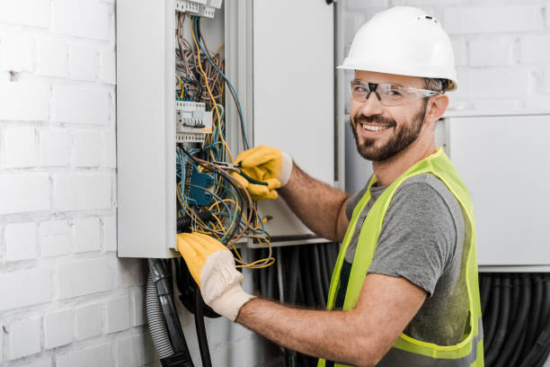 Best Electrical Upgrades for Homes  in Chelsea, MI