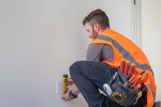Best Generator Installation Services  in Chelsea, MI
